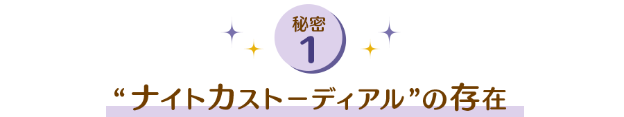 “ナイトカストーディアル”の存在